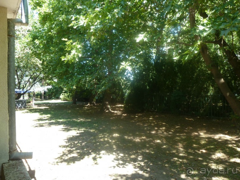 Тихо, но шумно