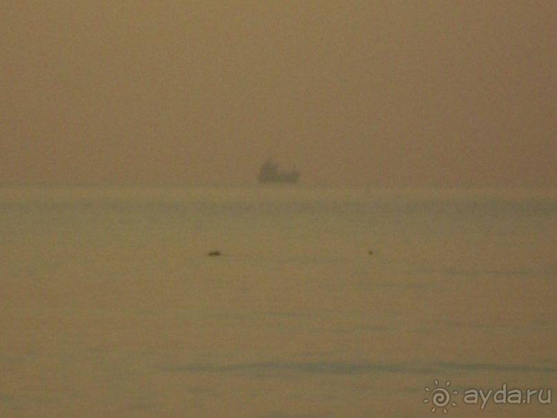 Отель хороший !