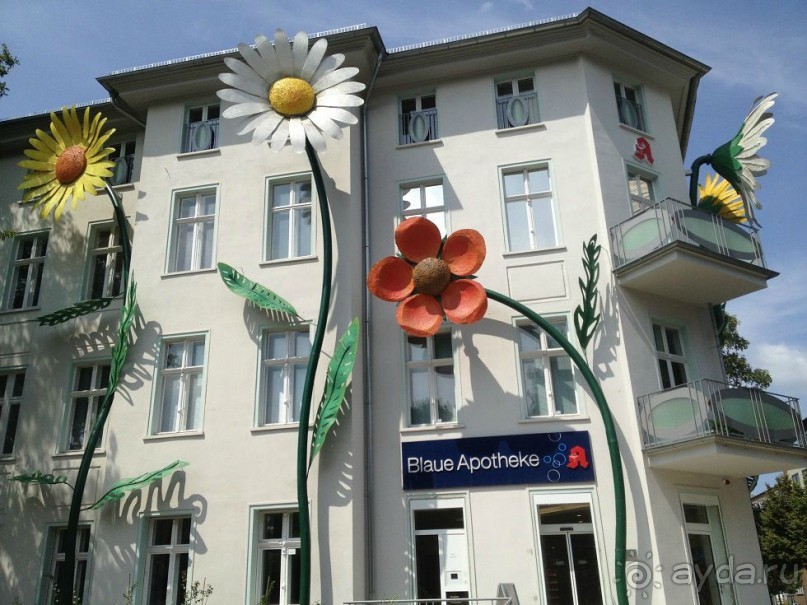 Альбом отзыва "10 замечательных часов в Берлине."