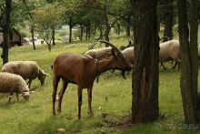 Замок Точник- застывшее средневековье