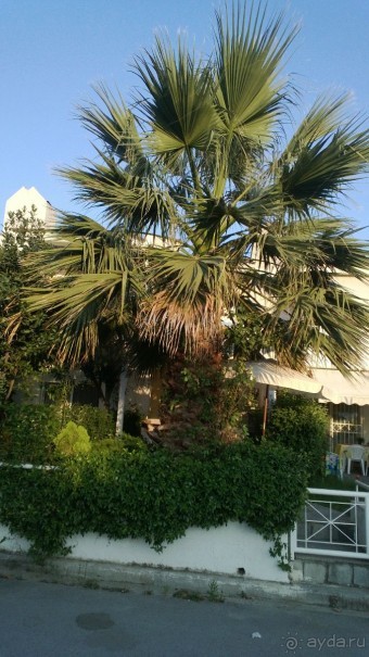 фото Bomo Julia Hotel