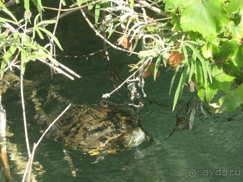 Озеро Курнас