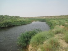 Степная сказка- ЭЛЬТОН