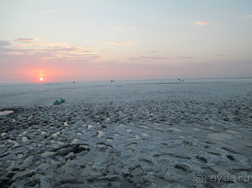 Степная сказка- ЭЛЬТОН