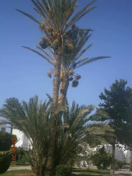 Все отлично... почему ставлю 4 читайте ниже