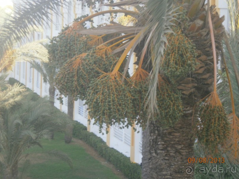 Все отлично... почему ставлю 4 читайте ниже