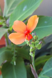 Блаженство!