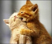 Эхх...............