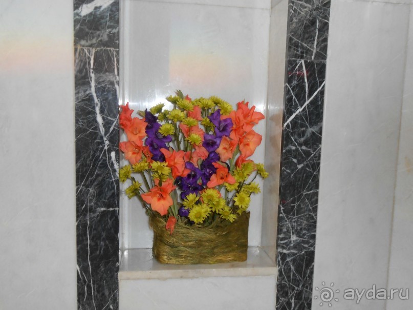 Любимая "Самшитовая роща"