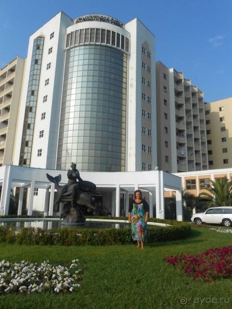 Любимая "Самшитовая роща"