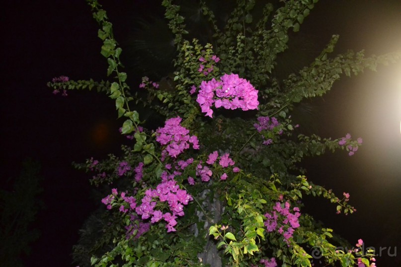 Отель ООООфигенннный)))