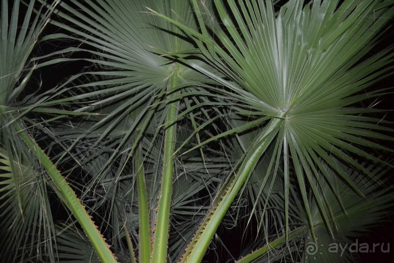 Отель ООООфигенннный)))