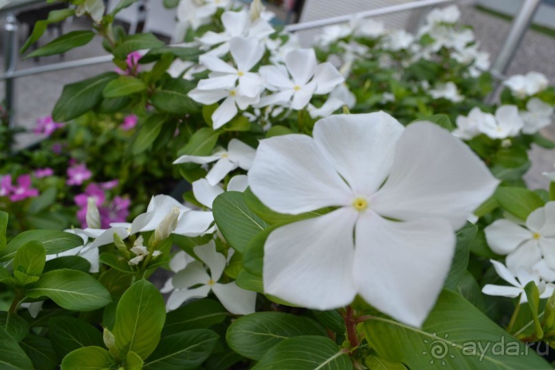 Отель ООООфигенннный)))