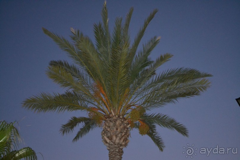 Отель ООООфигенннный)))