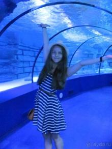 Акеанариум