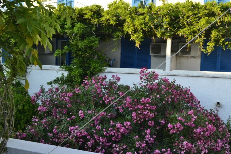 Нам очень повезло!