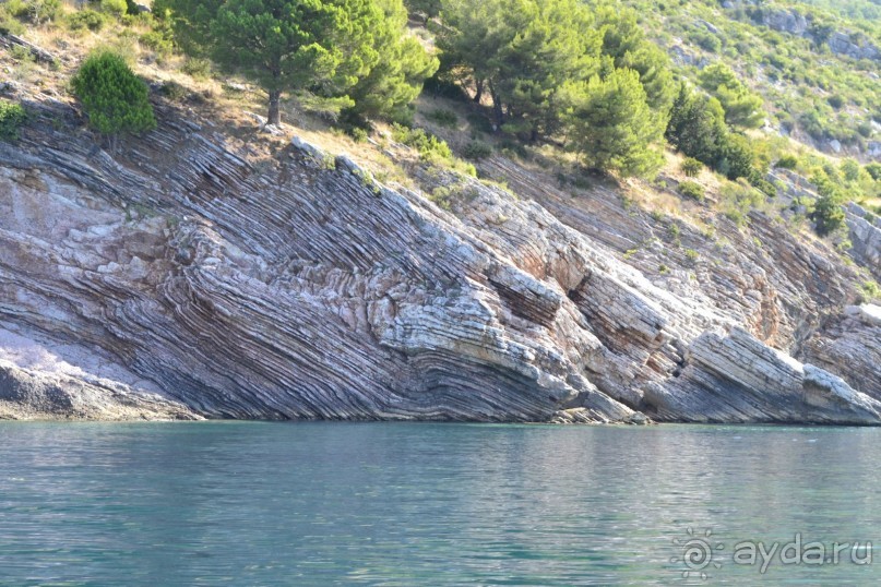 Нам очень повезло!