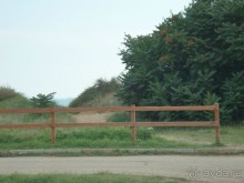 Отдых в Героевке, в частном пансионате Дельфиниум