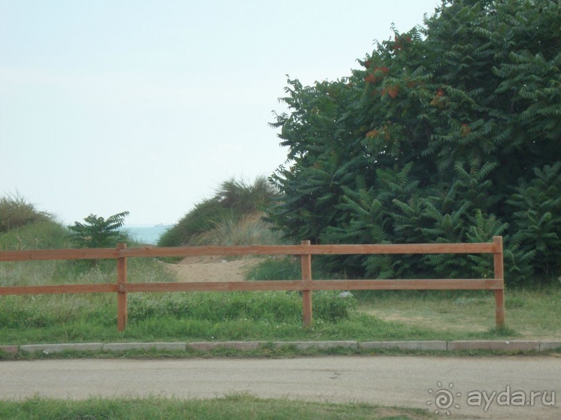 Отдых в Героевке, в частном пансионате Дельфиниум