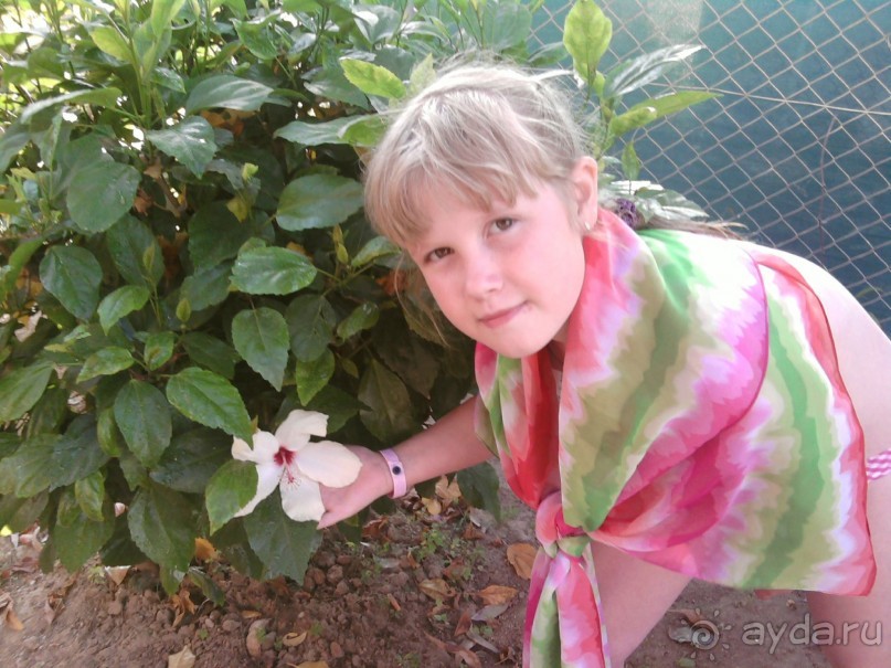 Вполне нормальный отель.