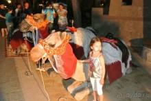 Великолепный турецкий отдых или Ода отелю Топ-капы Палас! 