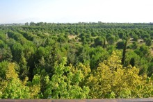 Великолепный турецкий отдых или Ода отелю Топ-капы Палас! 