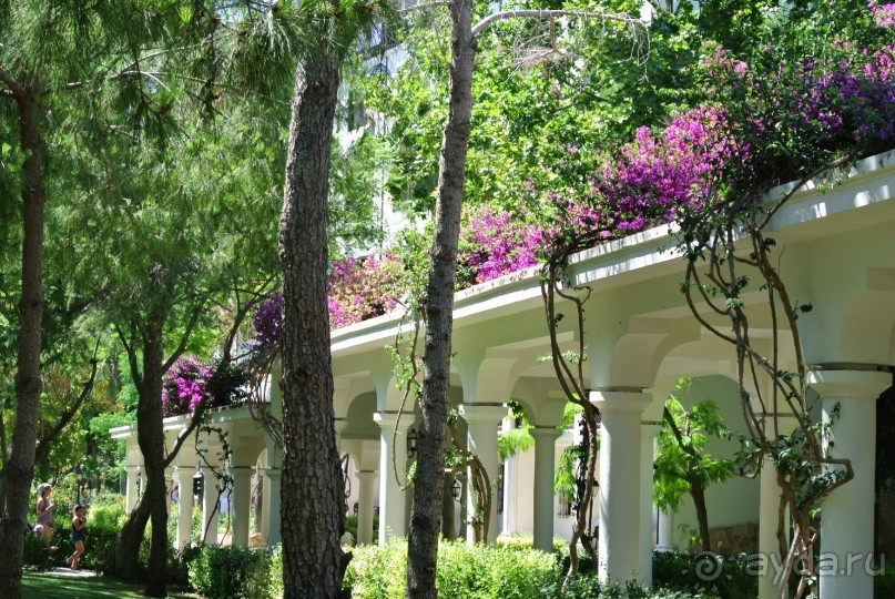 Великолепный турецкий отдых или Ода отелю Топ-капы Палас! 