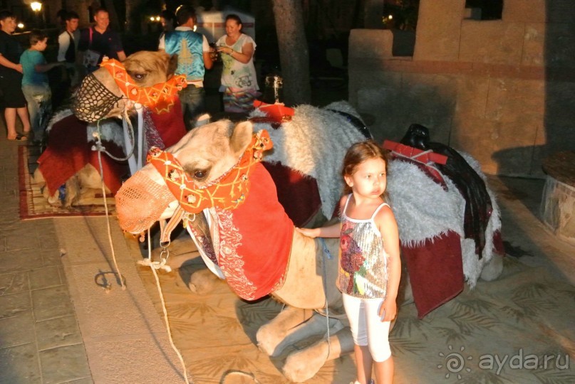 Великолепный турецкий отдых или Ода отелю Топ-капы Палас! 