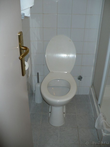 выжить можно