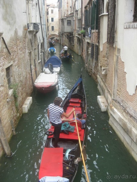 выжить можно