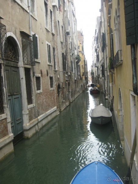 выжить можно