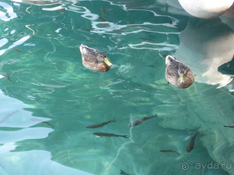 выжить можно