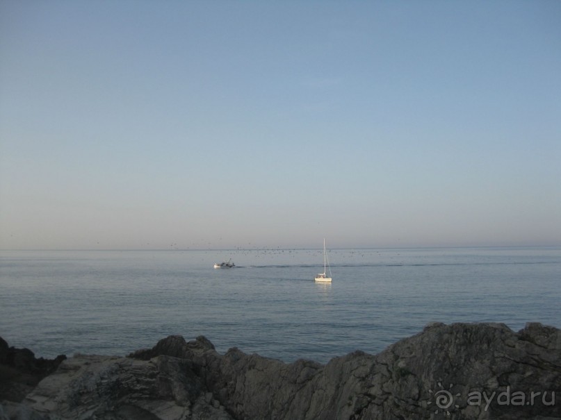 выжить можно