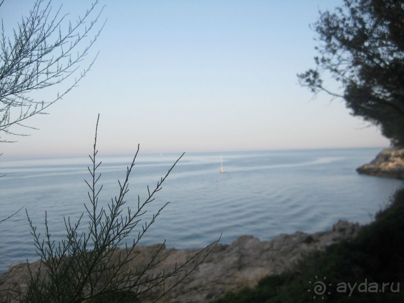 выжить можно