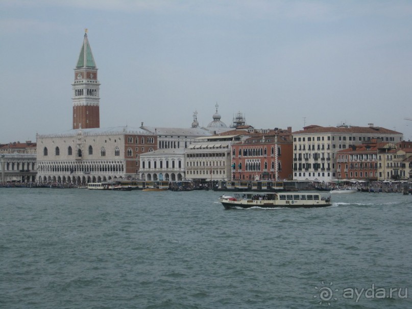 выжить можно