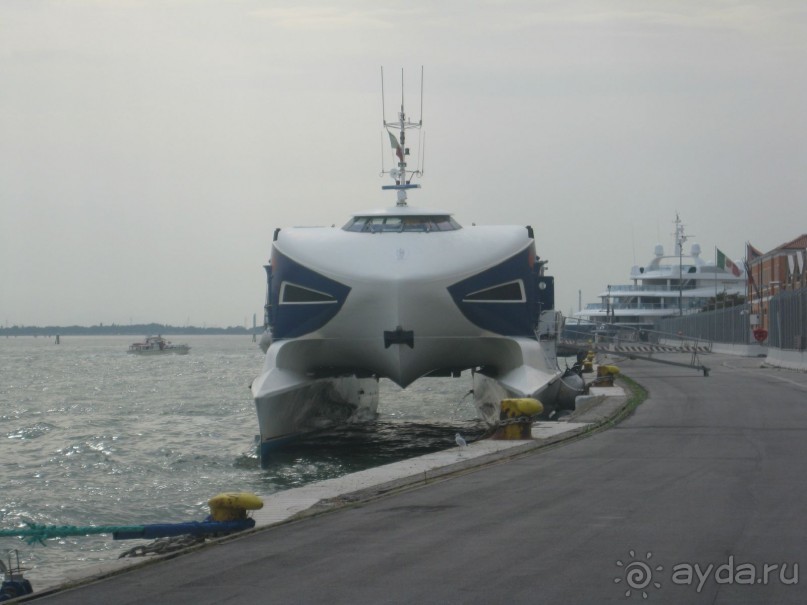 выжить можно