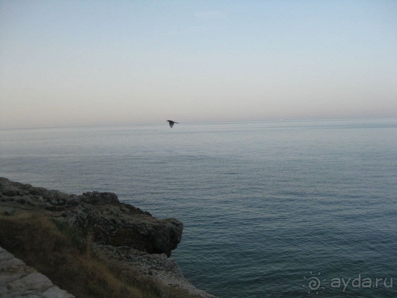 выжить можно