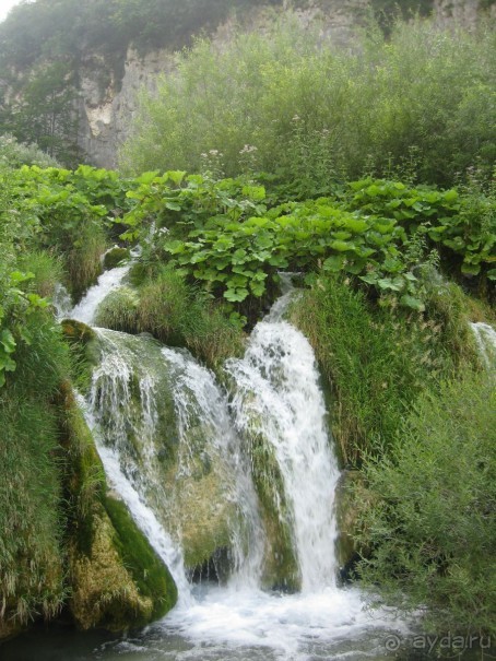 выжить можно