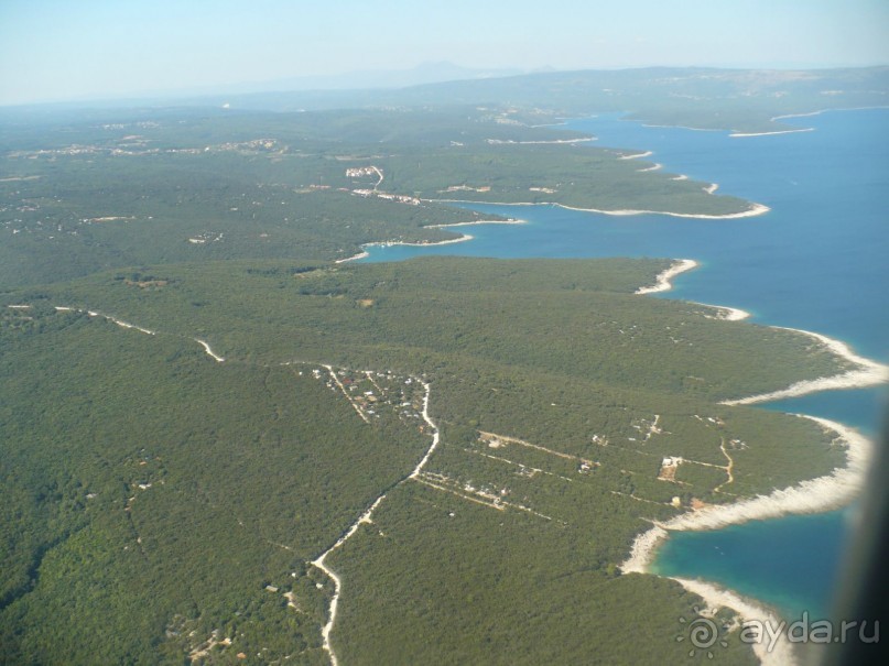 выжить можно