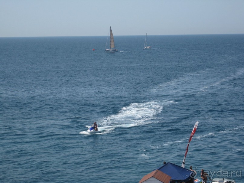 выжить можно