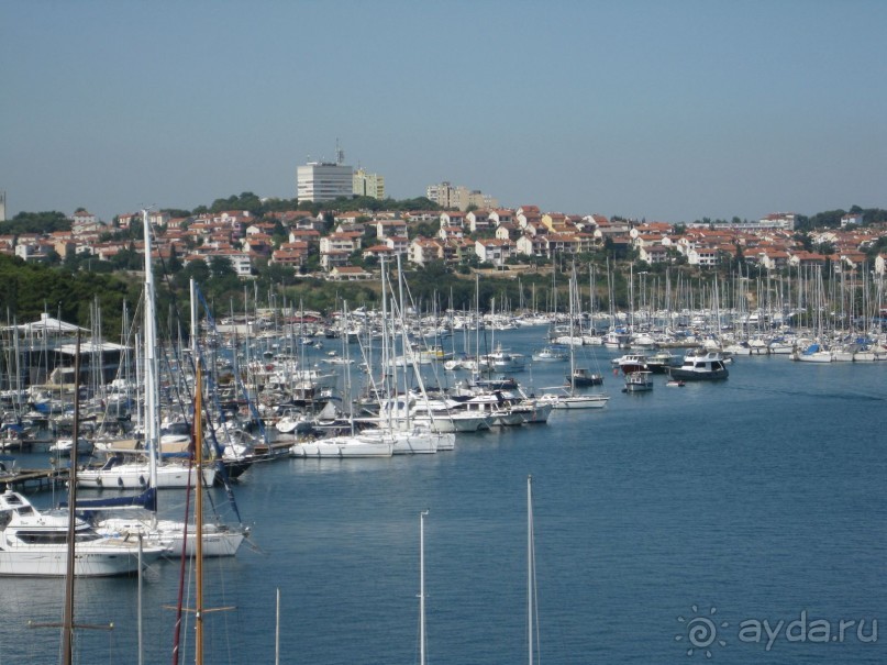 выжить можно