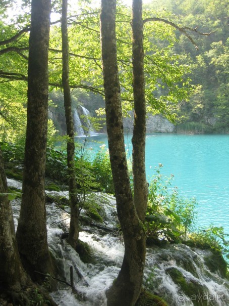 выжить можно