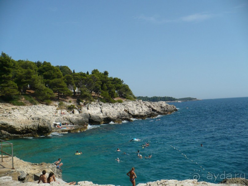 выжить можно