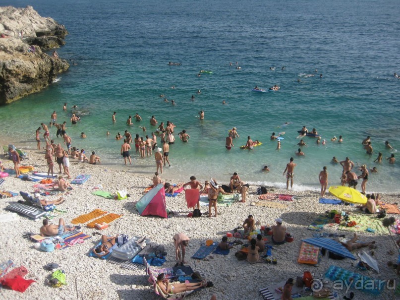 выжить можно