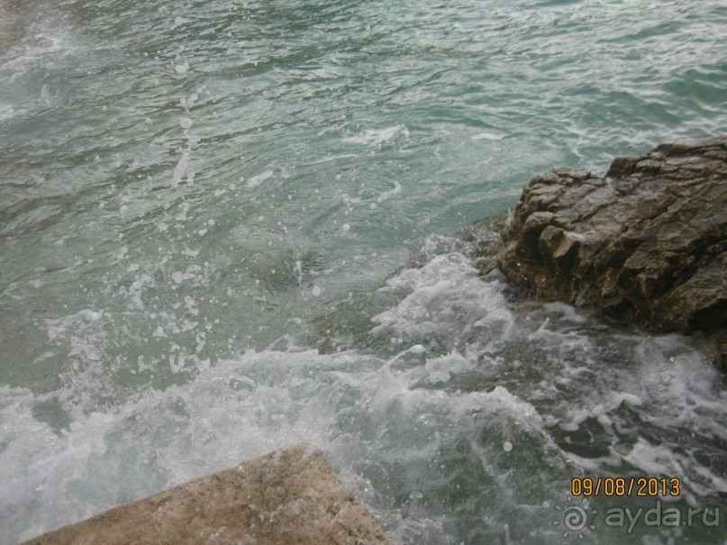 выжить можно