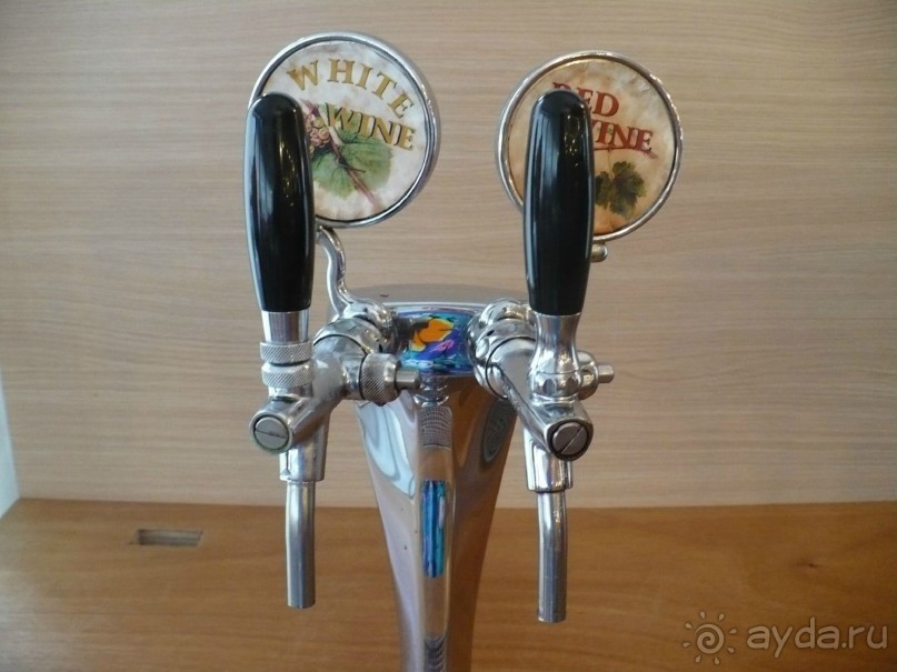 выжить можно