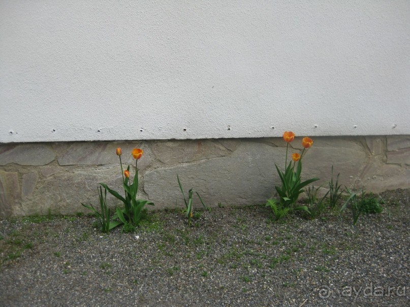 Альбом отзыва "Новый Валаам - это отдых для души"