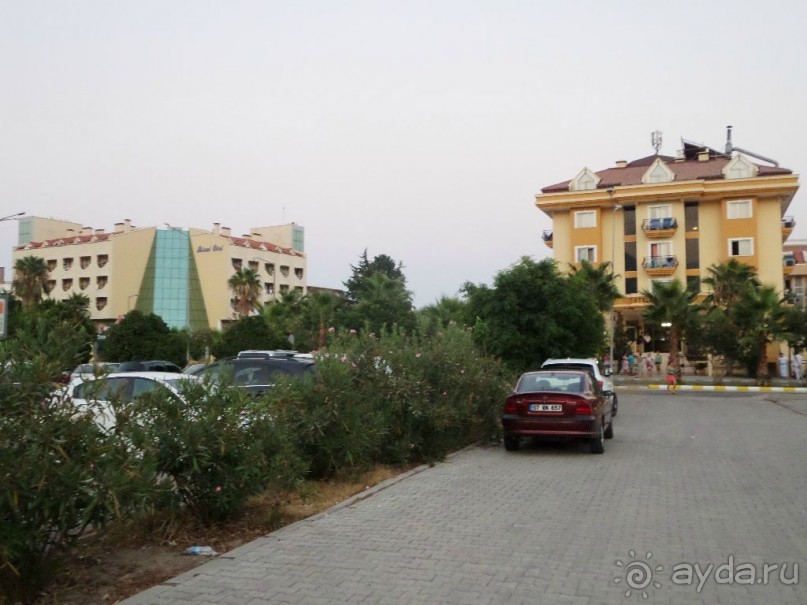 Стелла - НИКОГДА