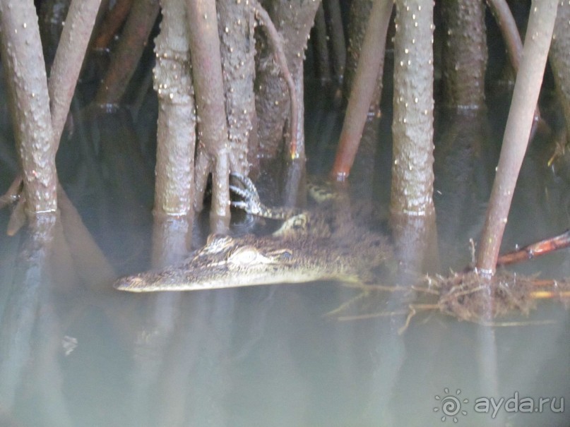 Скоро вернемся в Romantic Villa !!!!! 