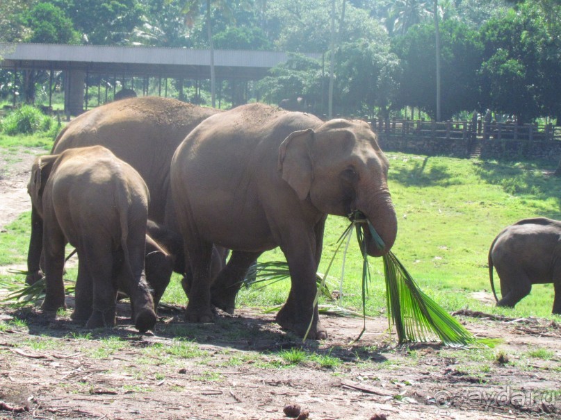 Скоро вернемся в Romantic Villa !!!!! 